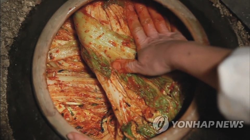 Imagen de "kimchi", proporcionada por la Televisión de Noticias Yonhap. (Prohibida su reventa y archivo)