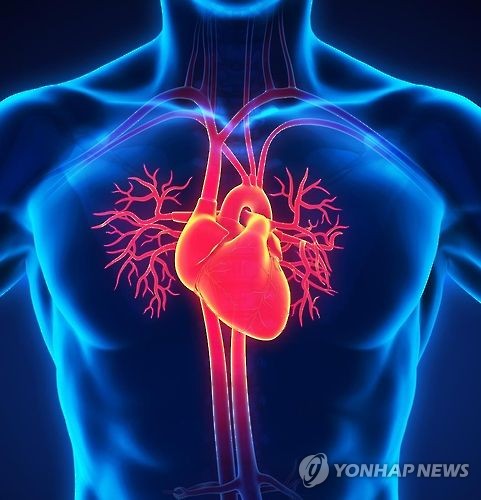 "고지혈증약 복용한 75세 이상 노인…사망률 44% 감소"