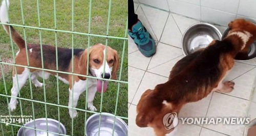 서울대 탐지견 실험, 학교에 맡긴 '셀프 심의' 도마에