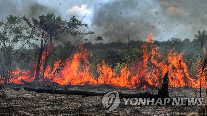 불타는 아마존 열대우림