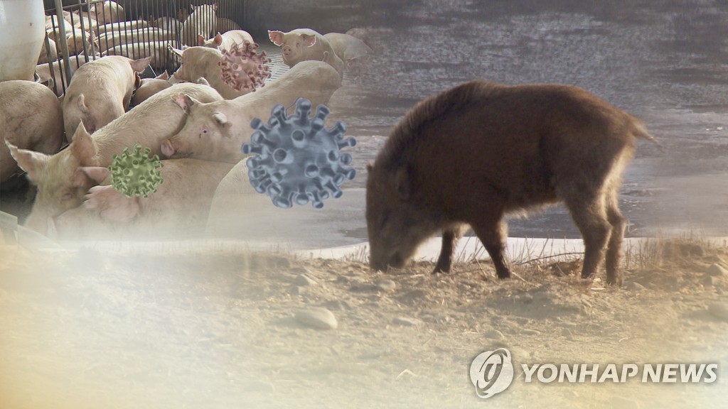 S. Korea to ban entry of cars to pig farms in border areas due to ASF-infected wild boars