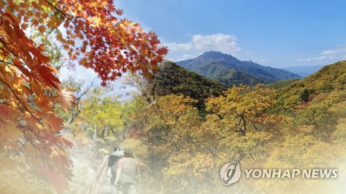 첫눈 내린 설악산 단풍 절정…탐방객 '북적' (CG)