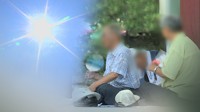 올해 온열질환자 3천명 육박…하루에 7명 사망해 역대 최다
