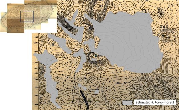 1918년 조선임야분포도를 이용한 구상나무 숲 추정