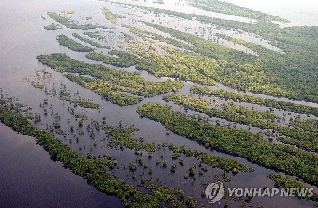 아마존 밀림 볼 수 있는 건 현세대가 마지막일 수도 | 연합뉴스