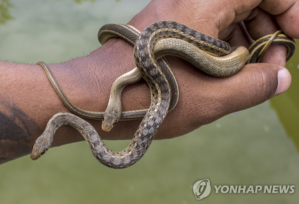 "어떤 면에서 사람과 별반 다르지 않는 듯"