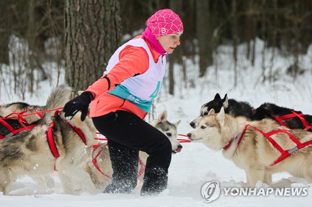Sled dog racing tournament in Vladimir Region, Russia