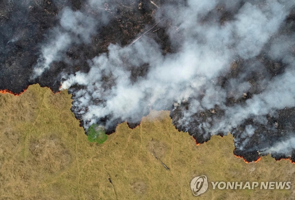 아마존 열대우림을 개간하려고 피운 불에서 연기가 치솟는 모습
