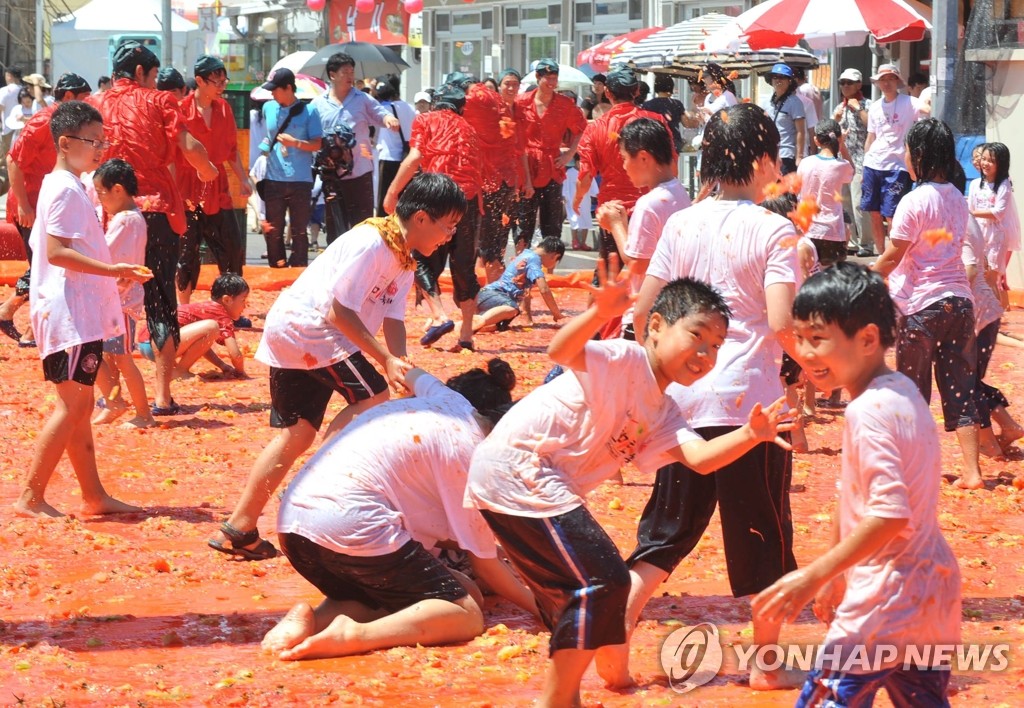 화천군 토마토축제 성적표 만족 연합뉴스 4093