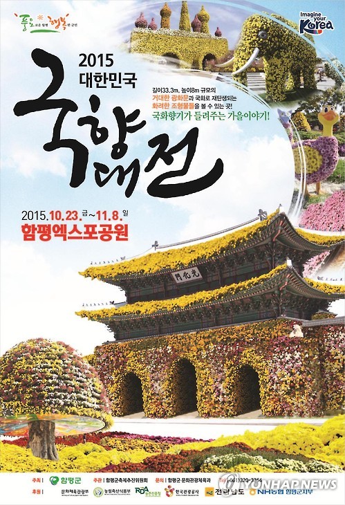 국화 축제 함평 대전 여행