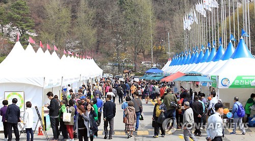 4월 첫 주말 '경기도청 봄꽃축제' 가볼까