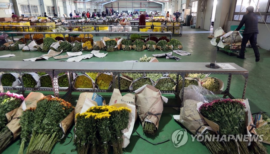 졸업철 왔지만…화훼 공판장엔 한숨소리만 가득 | 연합뉴스