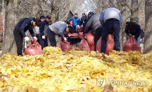 [주말 N 여행] 강원권: 100종류 단풍나무가 1천가지 이야기를 들려줍니다