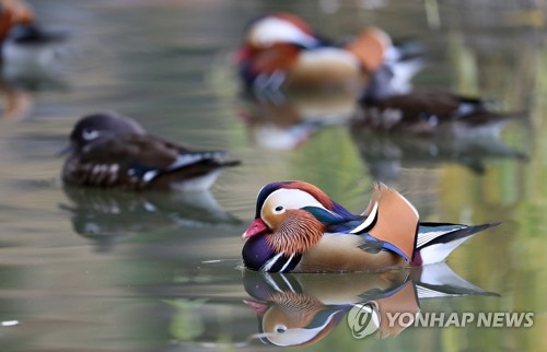 [내일날씨] 구름 많고 평년보다 기온 높아…미세먼지 주의