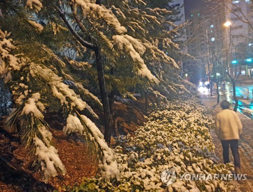 '봄 시샘 눈' 충북 제천 적설량 4cm…대설주의보는 해제