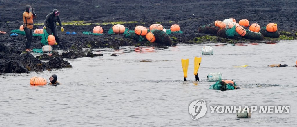 제주에서 물질하는 해녀들 [연합뉴스 자료사진]