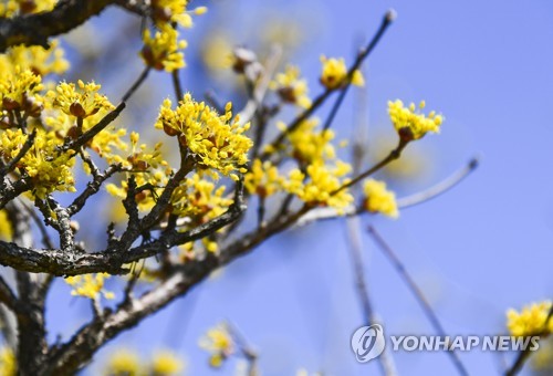 전북 맑고 일교차 큰 날씨…대기 질 '좋음'