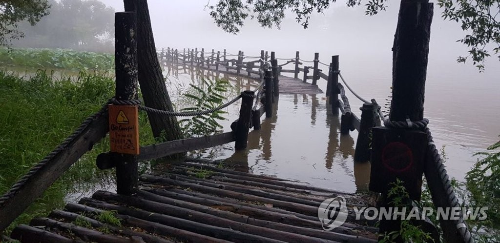This photo, provided by officials at Nami Island, show the tourist attraction in Chuncheon, Gangwon swamped on Aug. 6, 2020, as water levels rose. (PHOTO NOT FOR SALE)
