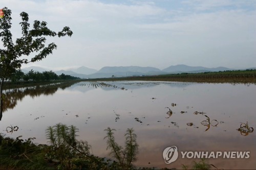 물바다 된 황해북도의 논밭