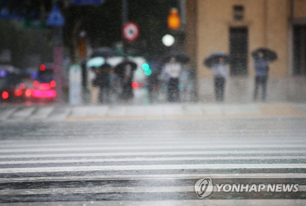 태풍 '하이선' 영향으로 내리는 비