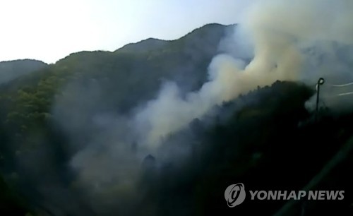 홍천 산불 1시간 만에 진화…산림 5천㎡ 소실(종합)
