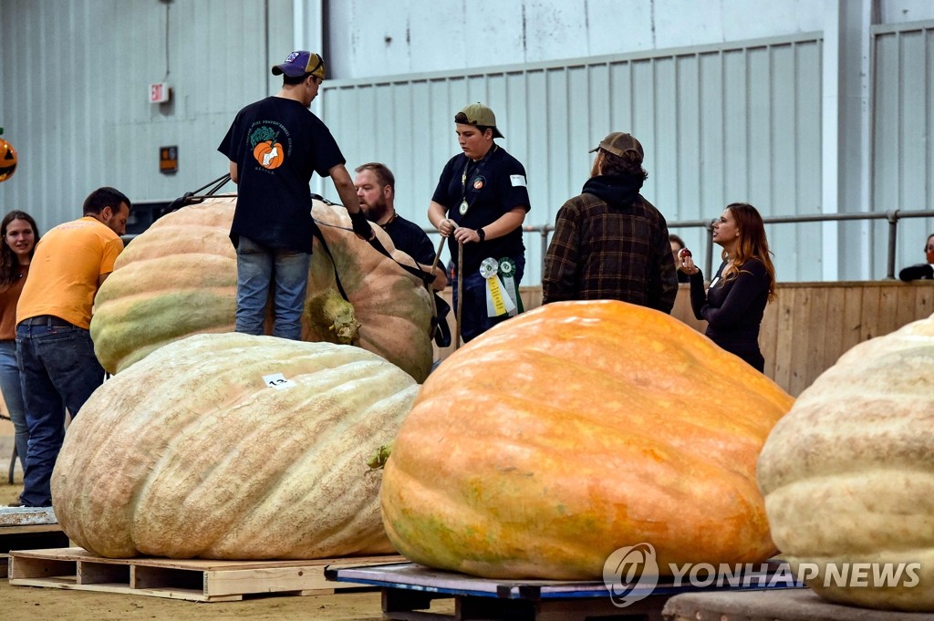 미 매사추세츠주 지방축제에 나온 초대형 호박 | 연합뉴스