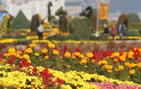 마산국화축제 발전 위한 아이디어·슬로건 공모…창원시민 대상