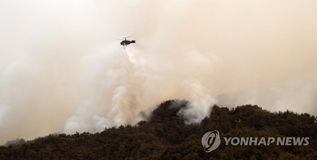 韓国東部の大規模山火事　山林当局「長期戦に備える」