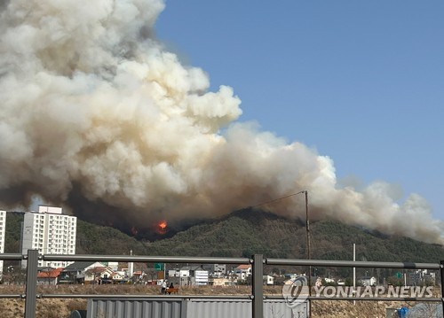 바짝 마른 산 근처서 낙엽 태우다 '활활'…양구 산불도 '인재'