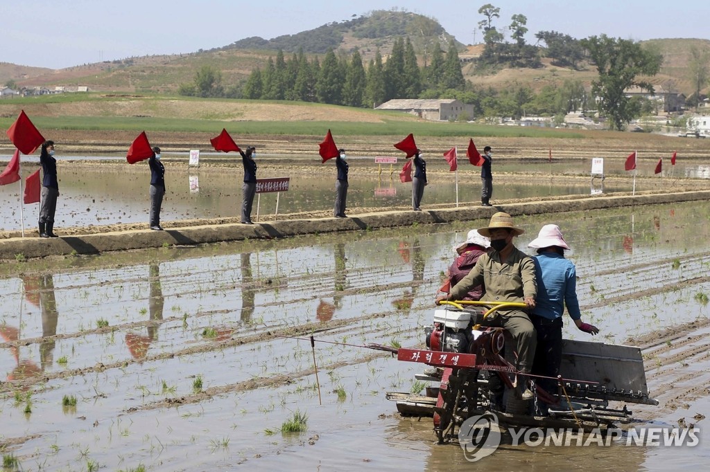 모내기 나서는 북한 농민들