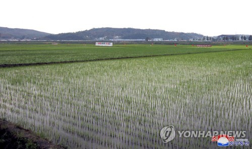 북한, 신규 발열 나흘째 2만명대…"도시보다 농촌이 더 많아"(종합)