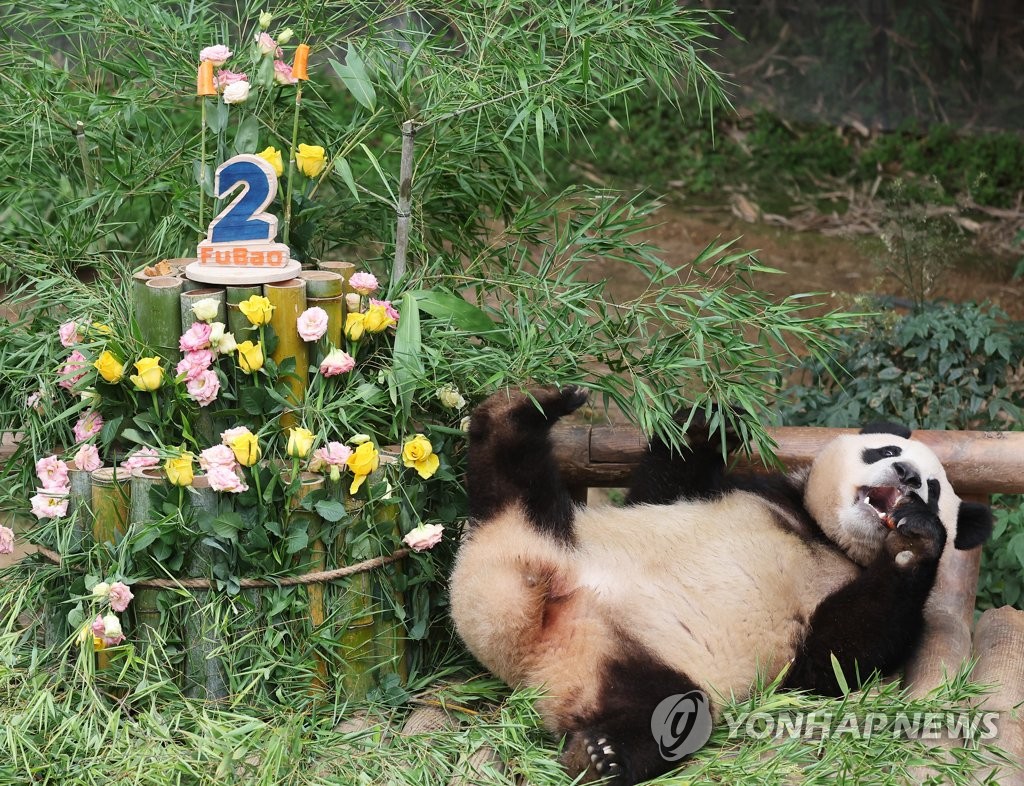 두 살 생일 맞은 푸바오 연합뉴스