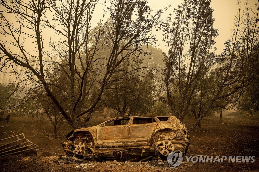 미 캘리포니아 국유림 산불로 전소된 차량