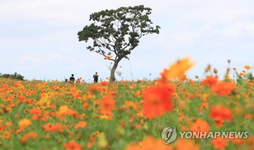 제주 대체로 맑음…낮 최고기온 27∼28도