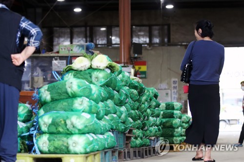농산물 가격 더 오른다…9월 배추 도매가 전월 대비 36.5%↑