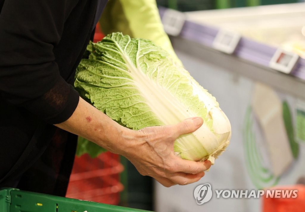 배추 고르는 소비자