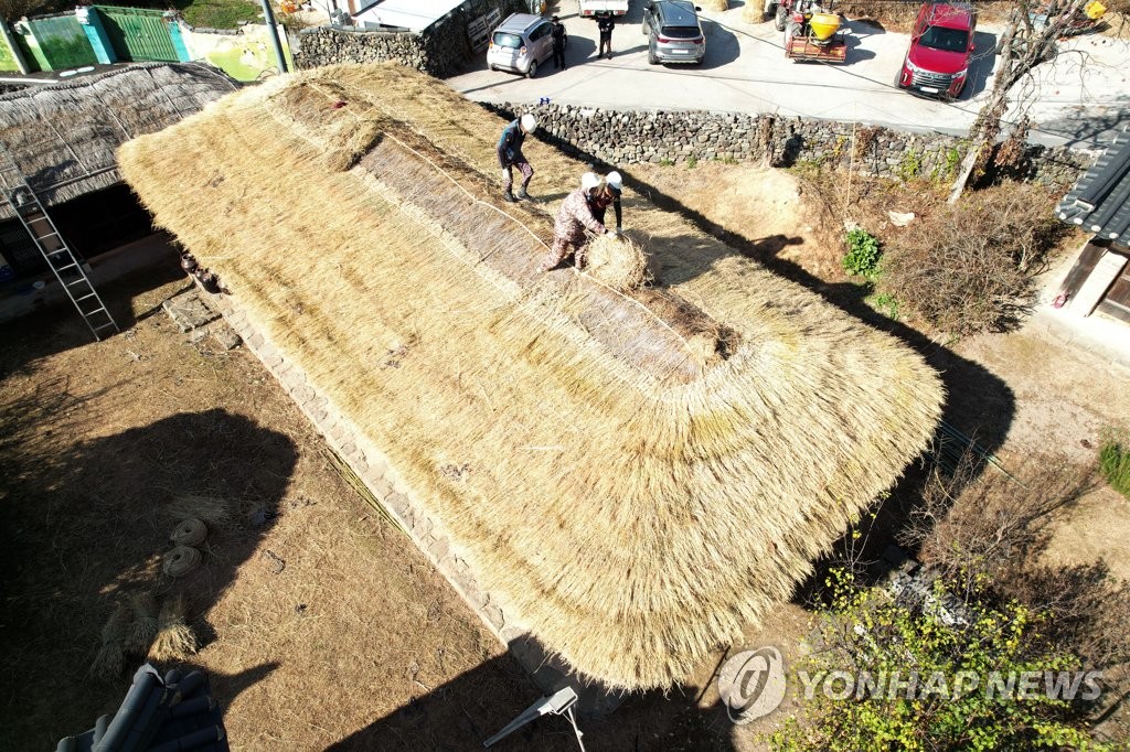 한겨울 앞두고 초가이엉 잇기