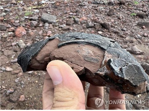 Rare discovery of dinosaur egg fossils reported in S. Korea's southwestern region