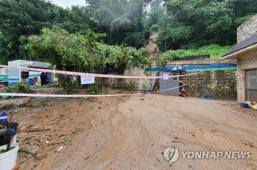 부산에 나흘째 호우경보…지하차도 통제·일부에 산사태 주의보