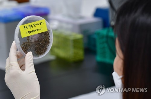 كوريا الجنوبية تسجل أكثر من 600 حالة إصابة بالملاريا هذا العام