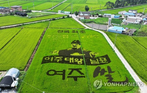 들판에 새겨진 대왕님 미소