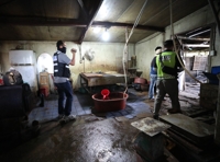 동물보호 단체, 말 불법 도축한 제주 관광승마장 고발