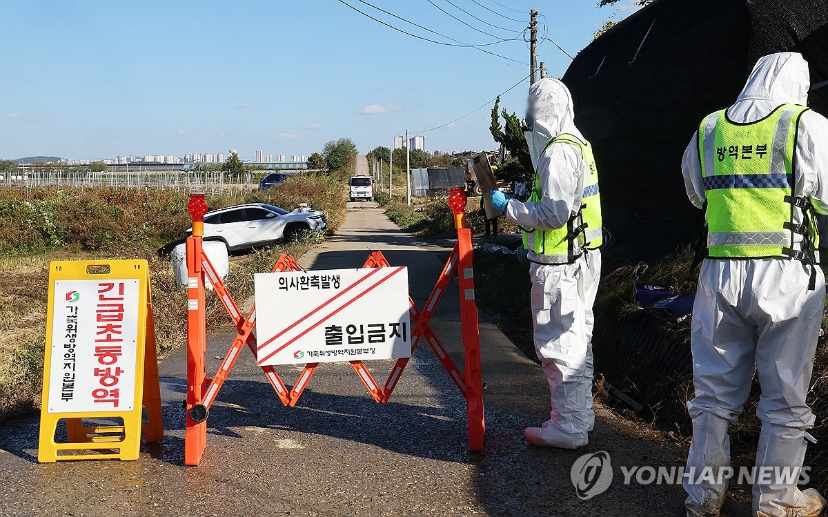 South Korea Reports Fifth Instance of Lumpy Skin Disease in Cattle ...