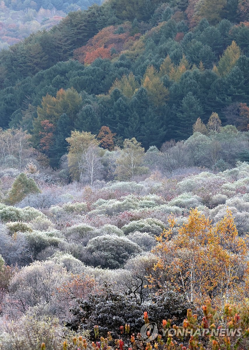 비밀의 정원에 서리가 내리면 | 연합뉴스