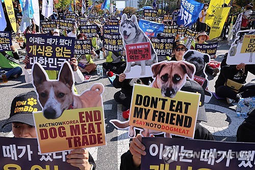 '개 식용 금지법' 국회 법사위 통과…철도 지하화법도 처리
