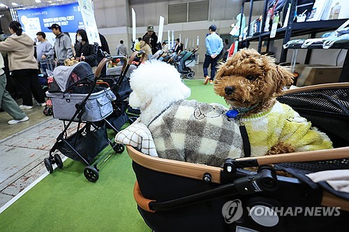 "출산율 꼴찌 한국서 '개모차' 판매 급증" 외신도 관심