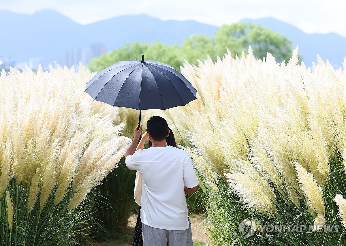 残暑の中にも秋の気配