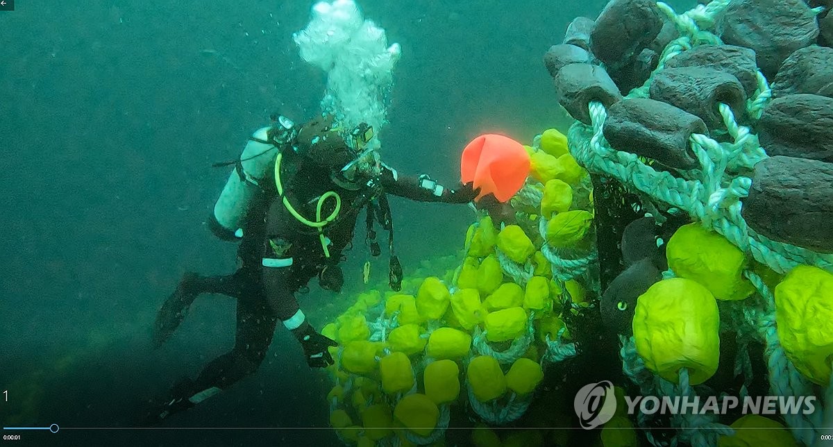 금성호 '골든타임' 24시간…해군 광양함·청해진함도 투입