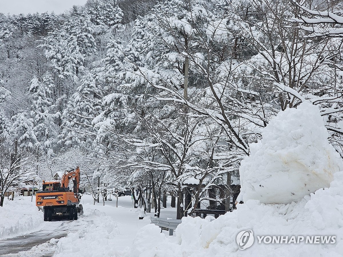 道路の除雪作業