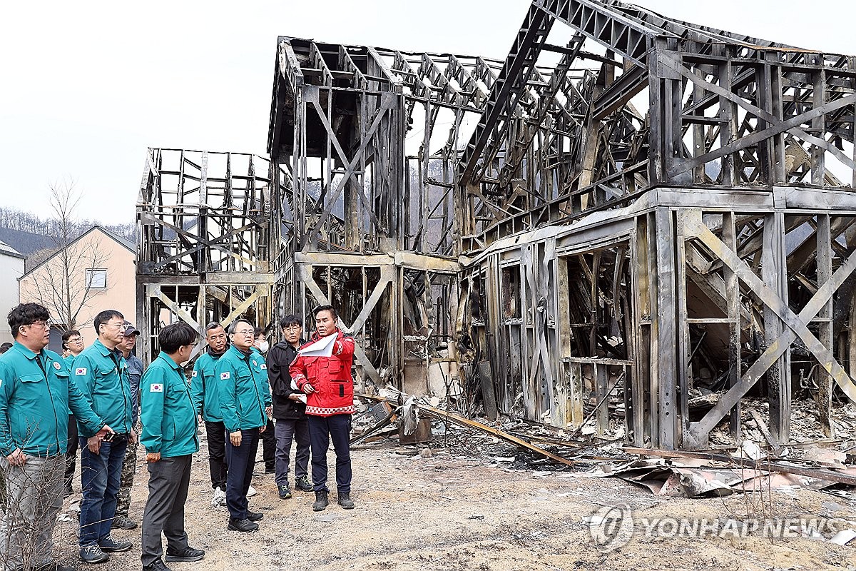 山火事の被害状況を確認